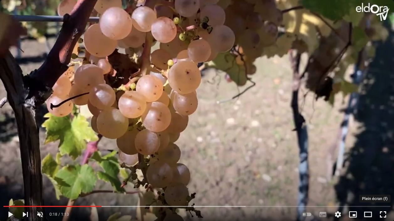 alt visuel custom Haute Ecole de viticulture et d’œnologie